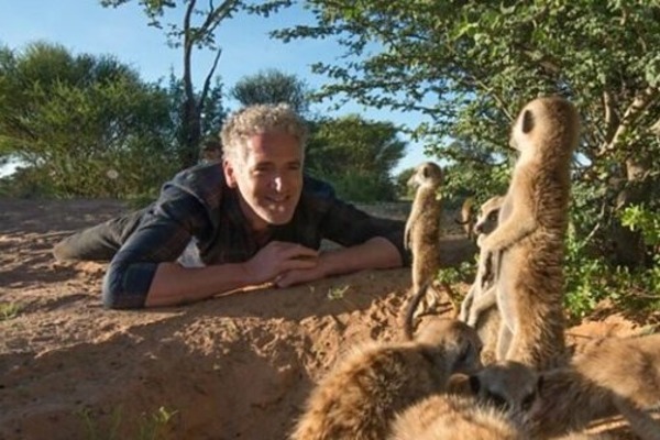 Presenter Gordon Buchanan lying on the dirt eye to eye with three meerkats